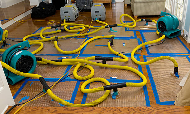 Professional Water Damage Repair technician working in Pleasant Hill, TX